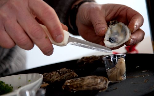 oyster shucking oyster shucking