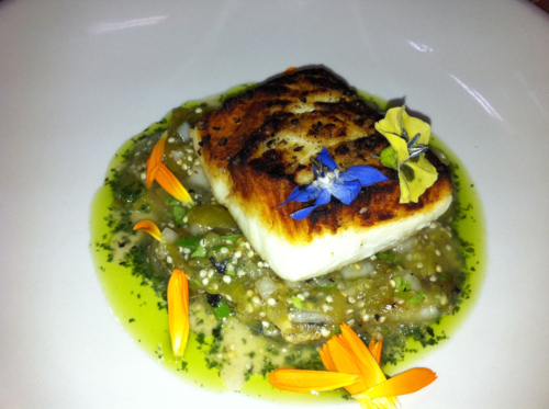 Atlantic Halibut