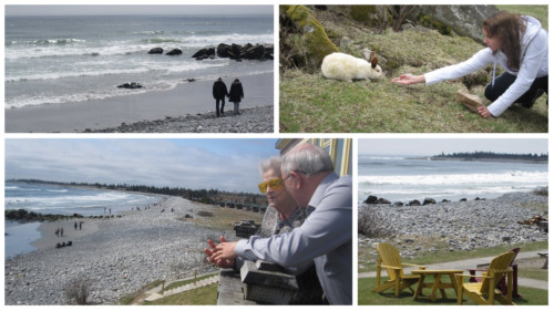 white point-1
