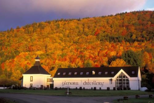 Landscape, Courtesy of Cape Breton Clipper
