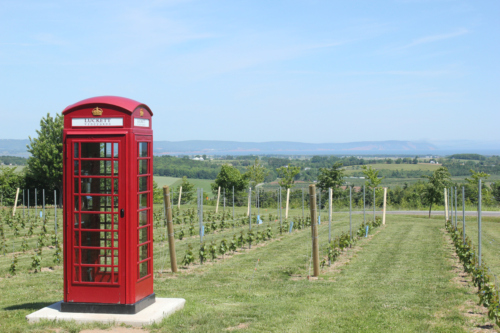 PHONE BOOTH View