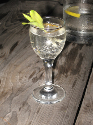 Gin and tonic