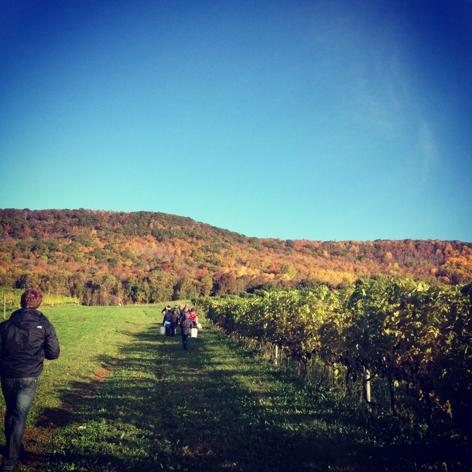 Blomidon Estate Winery (Photo credit: Blomidon Estate Winery)